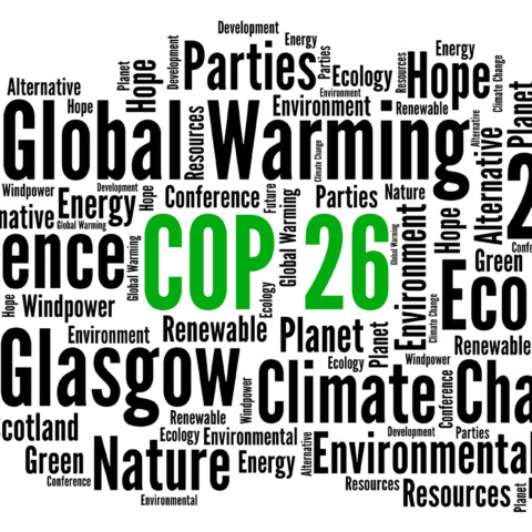 COP 26 _Driivz