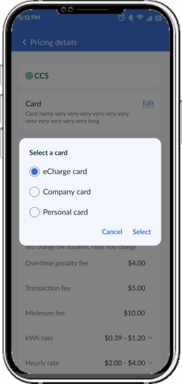 EV Charing Payments - Driivz